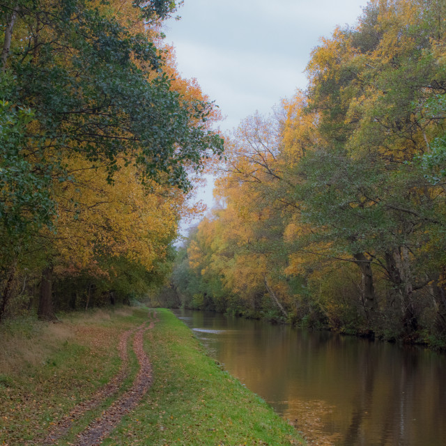 "Autumn On The Canals" by Neal Smith Photography - £10.00 "Autumn On The Canals" stock image