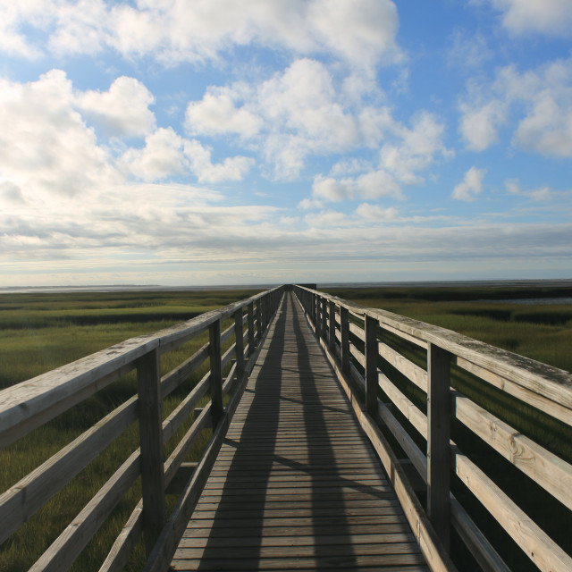 "Boardwalk" by Neal Smith Photography - £10.00 "Boardwalk" stock image