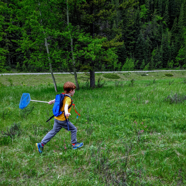 "Chasing butterflies" by MLLL Photography - $11.41 "Chasing butterflies" stock image