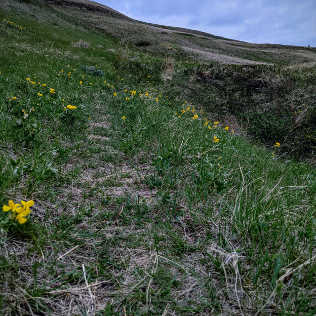 "Path less taken" by MLLL Photography - $11.41 "Path less taken" stock image