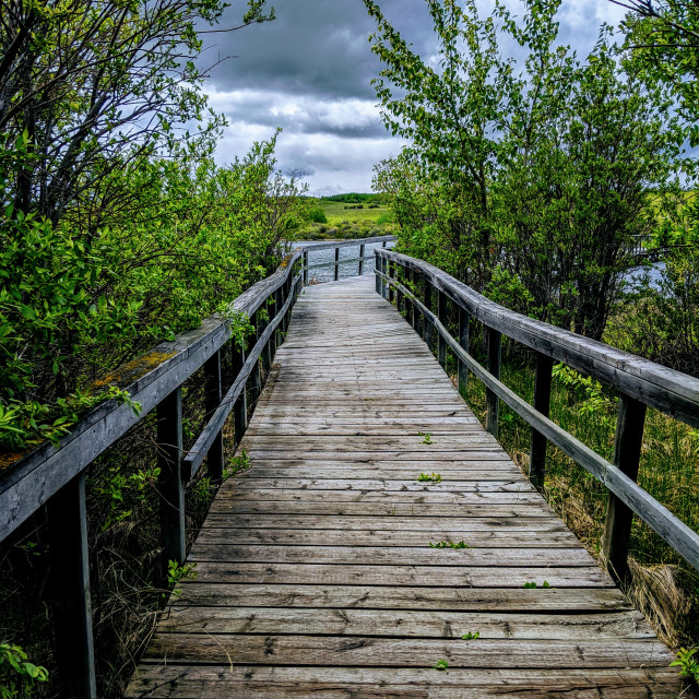 "Marsh bridge" by MLLL Photography - $11.41 "Marsh bridge" stock image