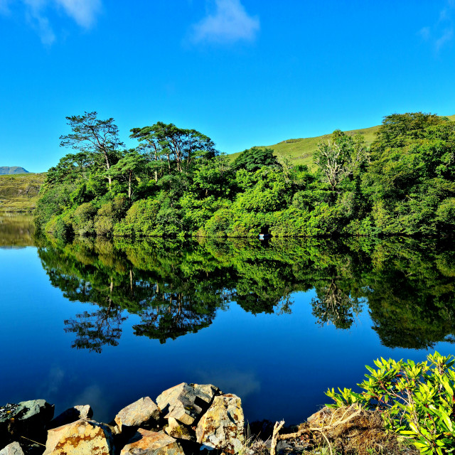 "Lough Fee 'Savage Beauty'" stock image