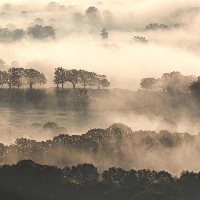 "Fog near Welland" by Bruce Little - £20.00 "Fog near Welland" stock image