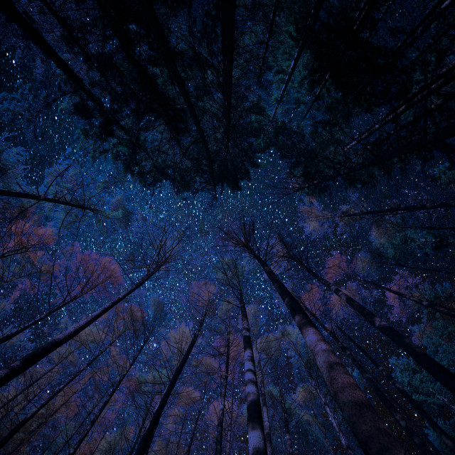 "A Night Sky in the Highlands" by John McGowan - £10.00 "A Night Sky in the Highlands" stock image