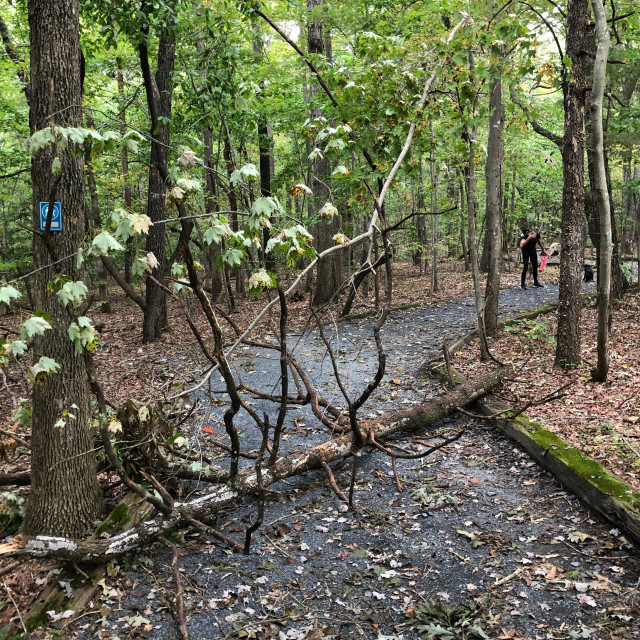 "Purgatory Mountain Trail- North Carolina Zoo-Asheboro, NC" stock image