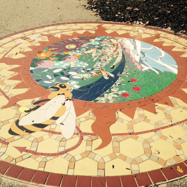 "A bee mosaic on the trail" by Aaron M Thompson PHOTO - $22.81 "A bee mosaic on the trail" stock image