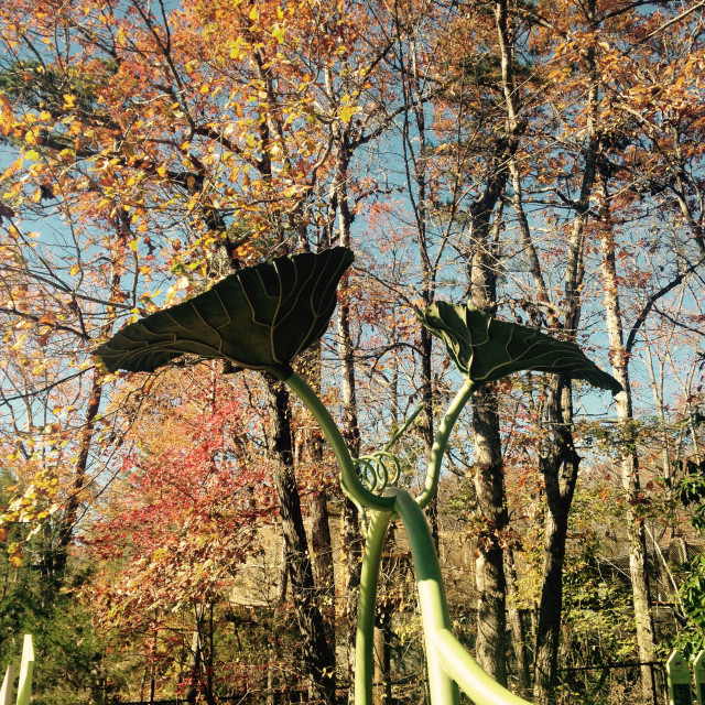 "Crow sculptures" stock image