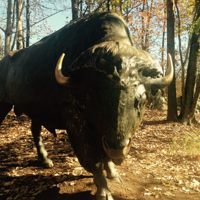 "American Bison sculpture" stock image