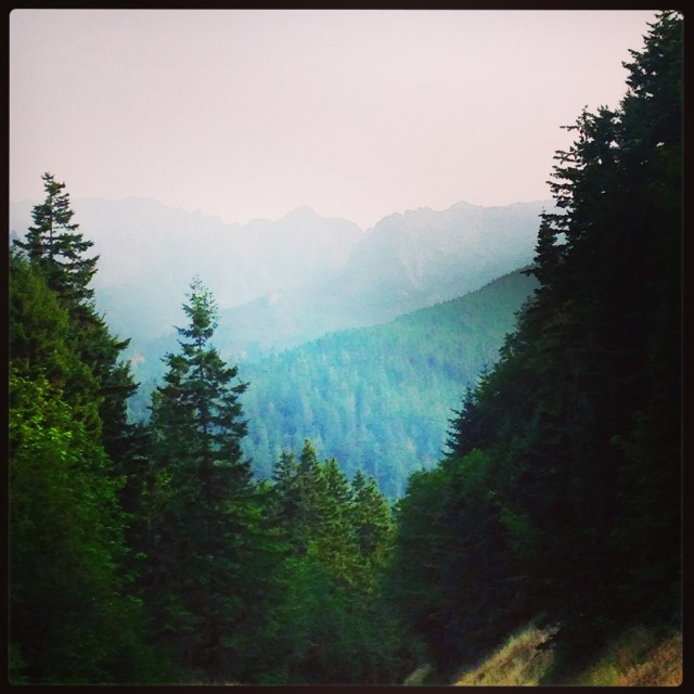 "Looking down the peak of Hurricane Ridge" stock image