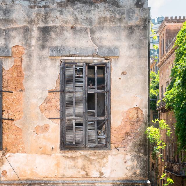 "Pigeons on the Wood of Broken Window in Beirut" by Roman Robroek - $30.80 "Pigeons on the Wood of Broken Window in Beirut" stock image