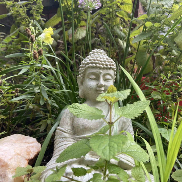 "Buddha Garden" stock image