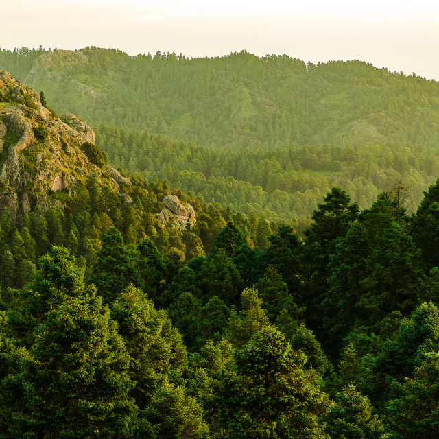 "Rock in the Natural Park "El Chico" IV" by Expvisual Filmmaking and Photography SAS de CV - $9.88 "Rock in the Natural Park "El Chico" IV" stock image