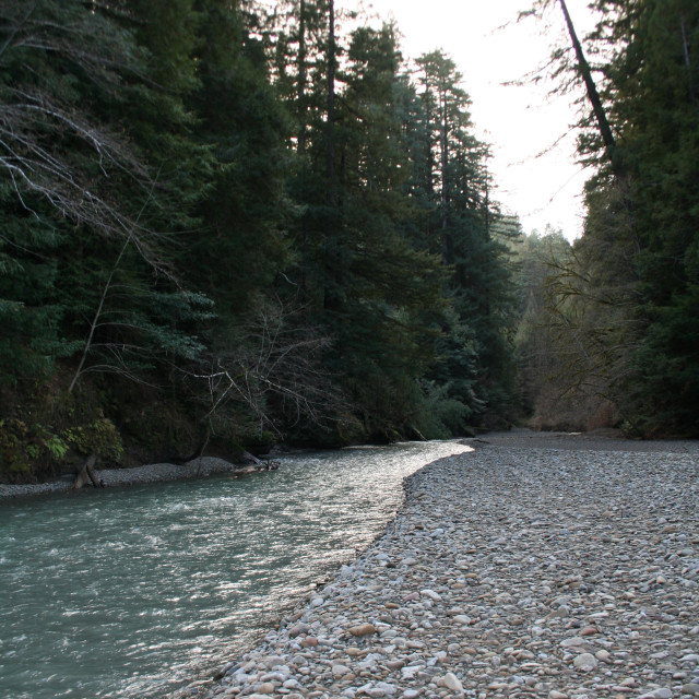 "Eel River walk" stock image