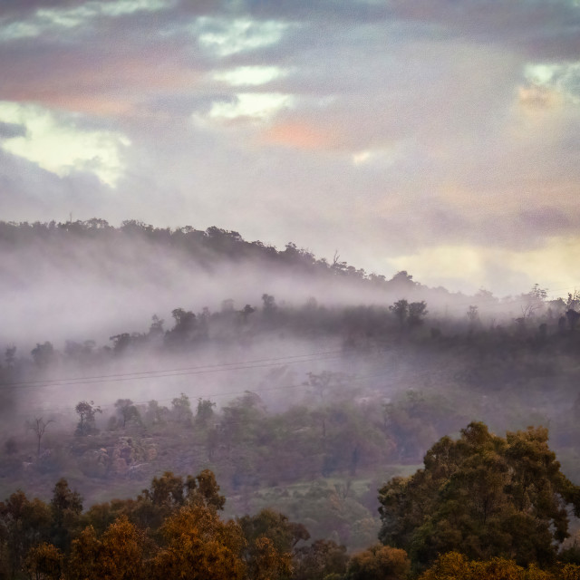 "Pink Misty Bush Sunset 2" stock image