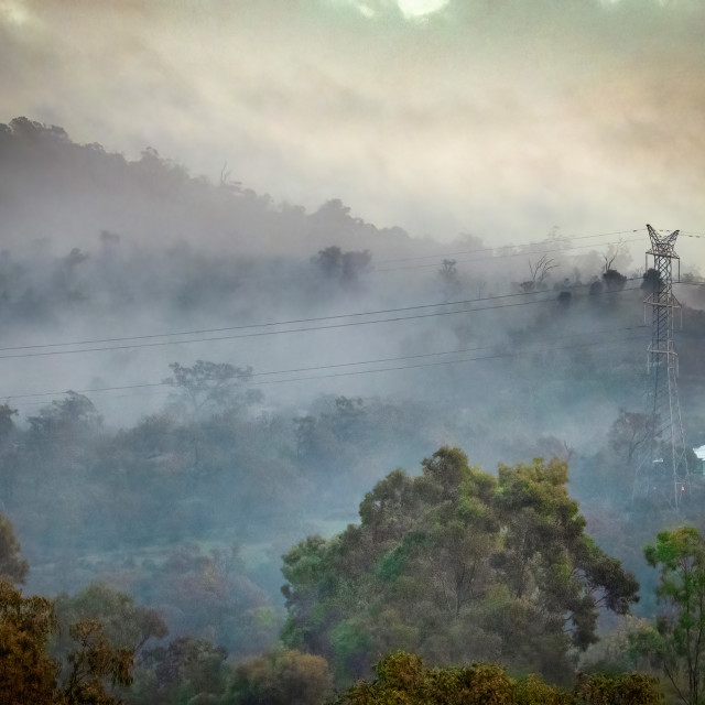 "Misty Bush Sunset" stock image