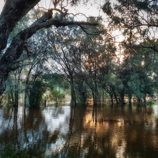 "Flooded River" stock image