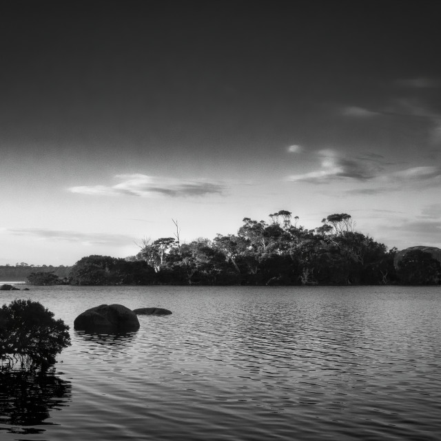 "Morning at the Cove" stock image