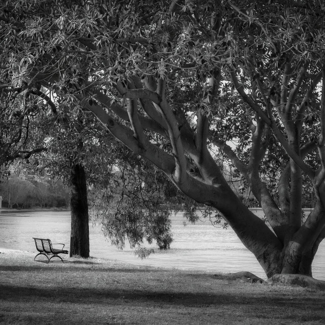 "Lonely Park Bench by the River" stock image