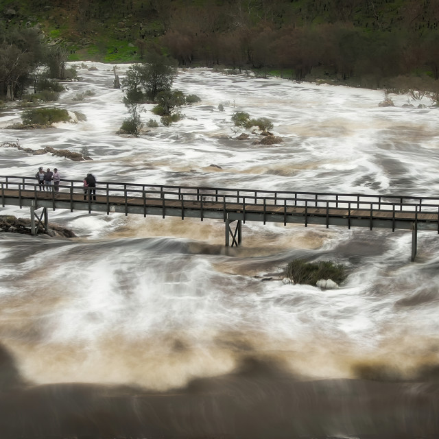 "Bells Rapids Bridge" stock image