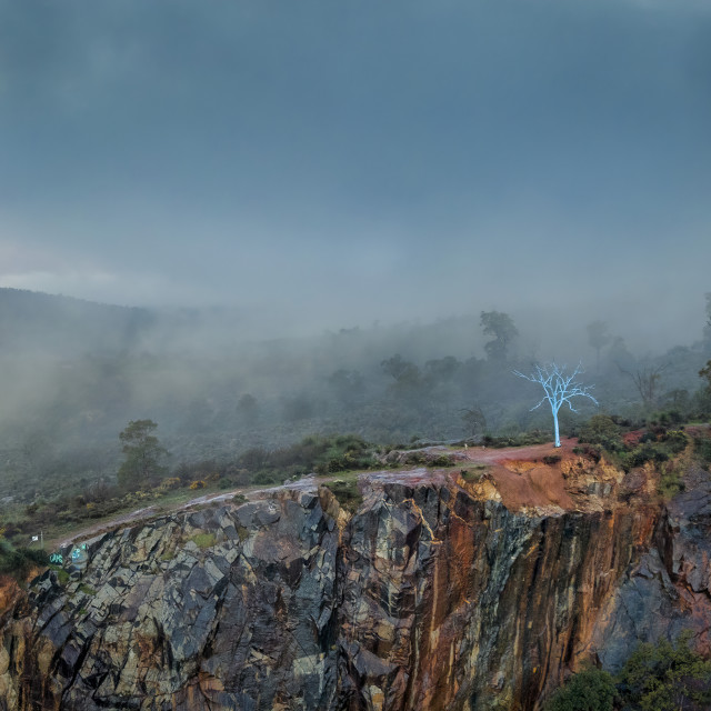 "Blue Tree in the Mist" by Sam Blight - $12.45 "Blue Tree in the Mist" stock image