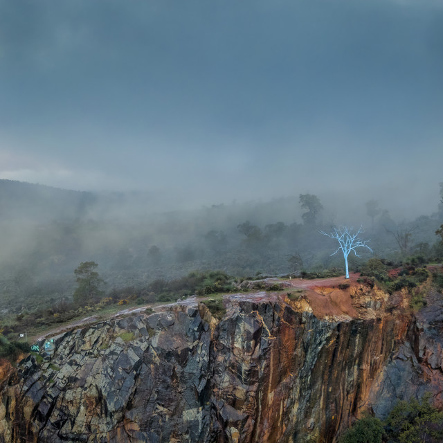 "Blue Tree in the Mist" stock image