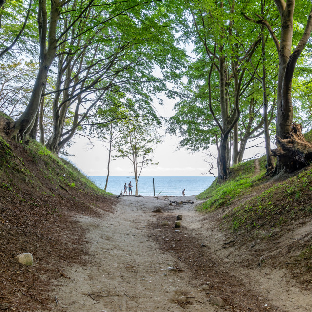 "Gorge "Lisi Jar" in Jastrzebia Gora (Poland)" stock image