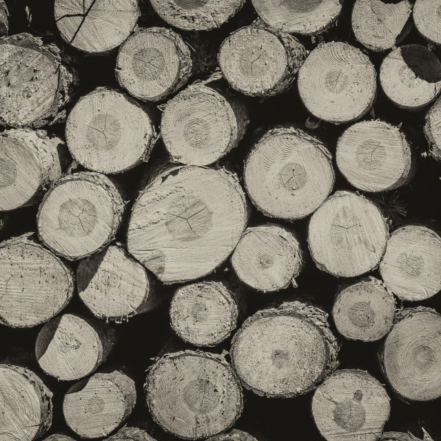 "Wooden logs background" stock image