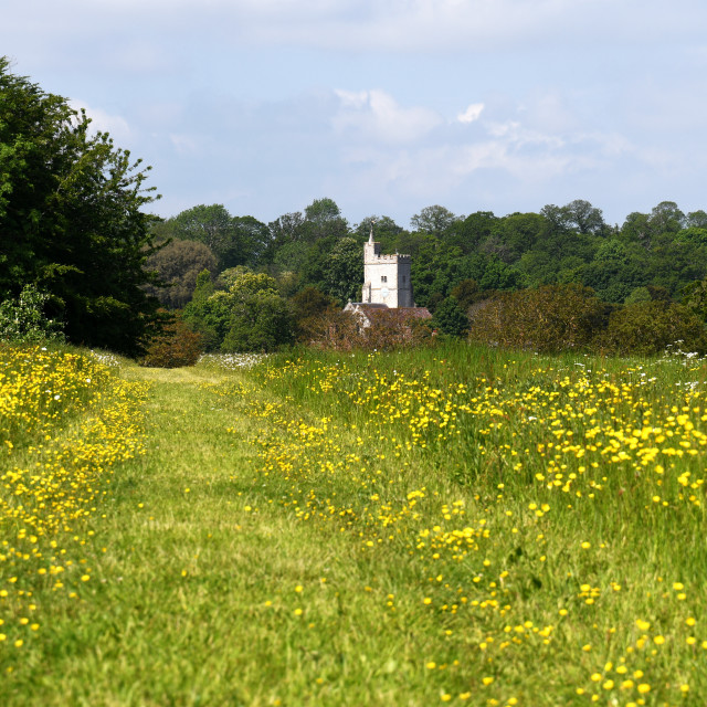 "Summer Walk to Goodnestone" stock image