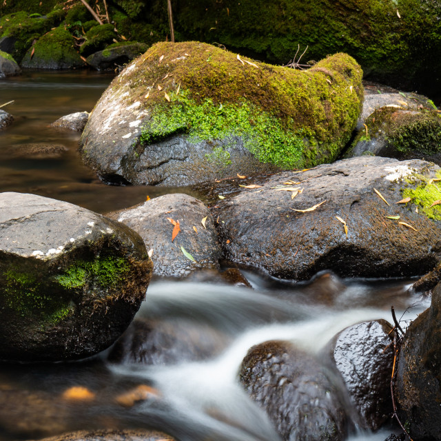 "The Otways - Water Over Rocks" by Mark Fox - £21.00 "The Otways - Water Over Rocks" stock image