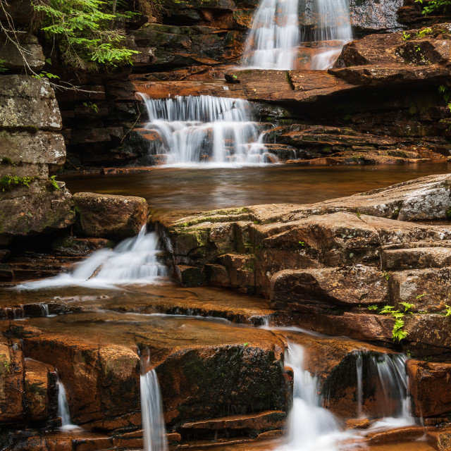 "Cascading water falls in the forest" stock image