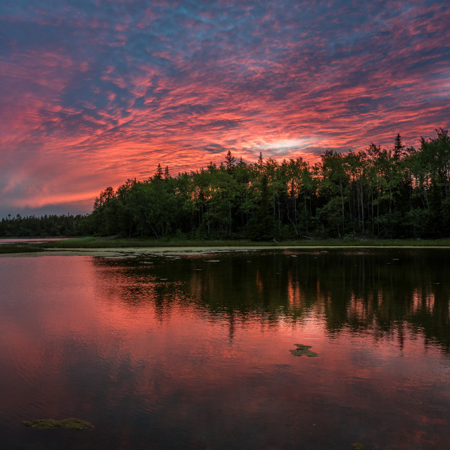 "Sunset Solovetsky island" stock image