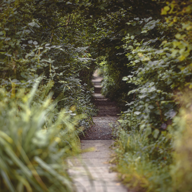 "Walking down the path" by Pete Griffiths - £10.00 "Walking down the path" stock image