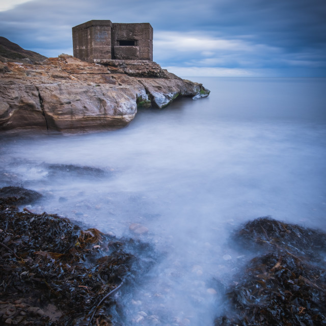 "Seaweed gathering at the Cornelian pillbox" stock image