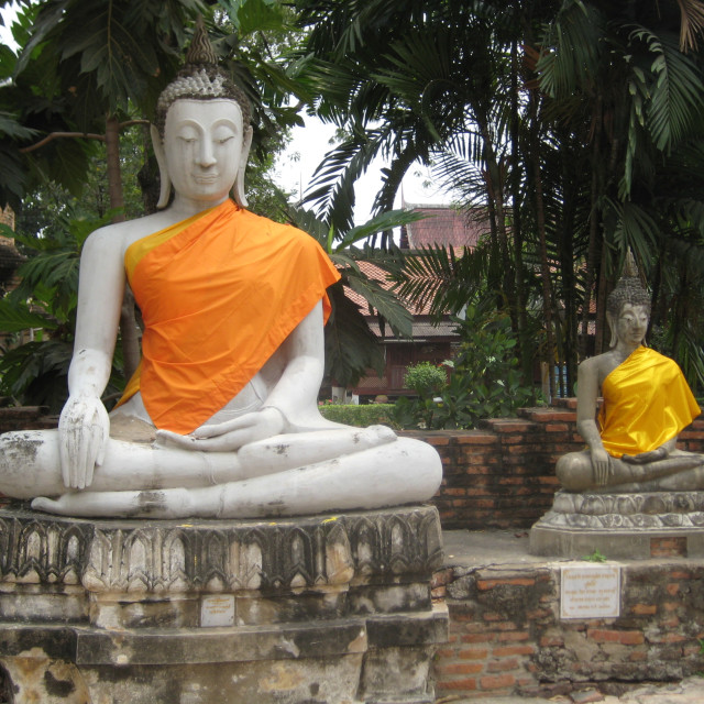 "Two Buddha statues in Ayutthaya" stock image