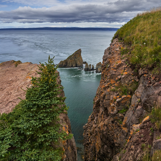 "Cape Split - Portrait" stock image