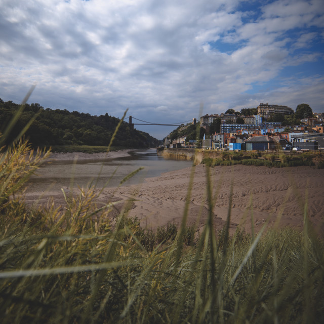 "Avon Gorge grass" by Pete Griffiths - £10.00 "Avon Gorge grass" stock image