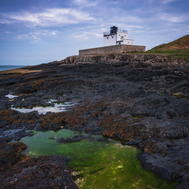 "Luminous pool of green seaweed at Bamburgh Lighthouse, Northumberland" by Philip Mowbray - $15.18 "Luminous pool of green seaweed at Bamburgh Lighthouse, Northumberland" stock image