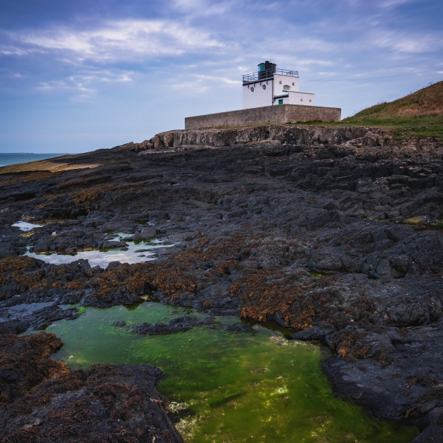 "Luminous pool of green seaweed at Bamburgh Lighthouse, Northumberland" stock image