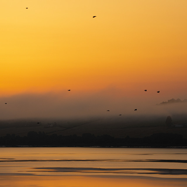 "Sunrise in Ardullie, Scottish Highlands" by John McGowan - £10.00 "Sunrise in Ardullie, Scottish Highlands" stock image