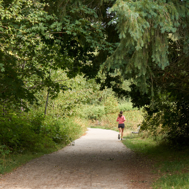 "Woman jogging through a wooded area" stock image