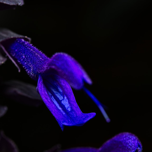 "Out of the Dark" stock image