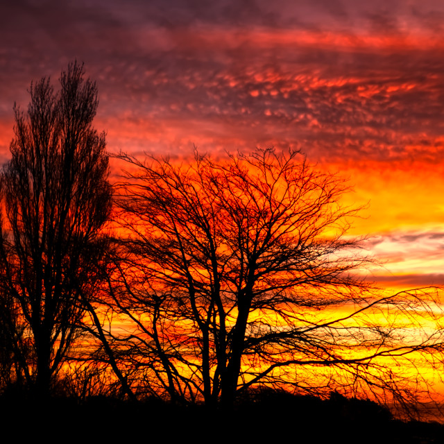 "Red Sky Morning" stock image