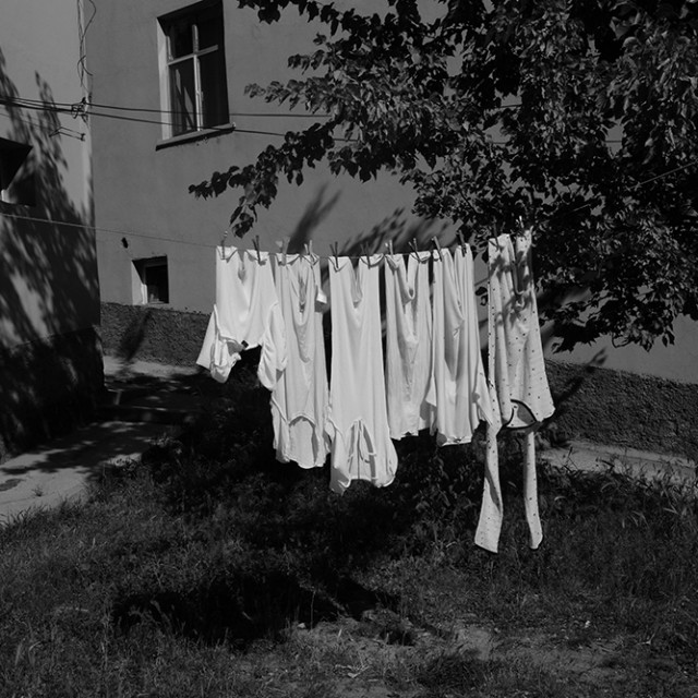 "6" by Ferhat Celik - $695.85 "6" stock image