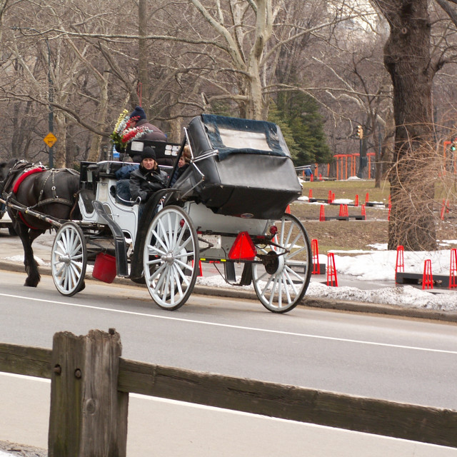 "Central Park Horse Buggy" stock image