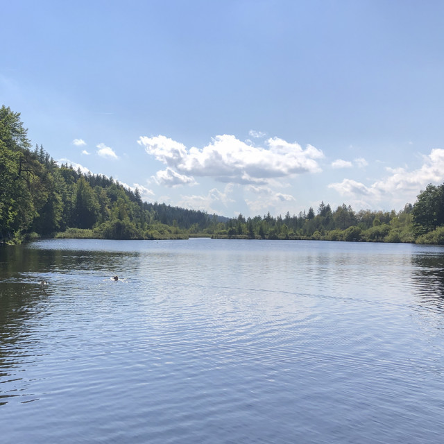 "Lake Deininger Weiher" stock image