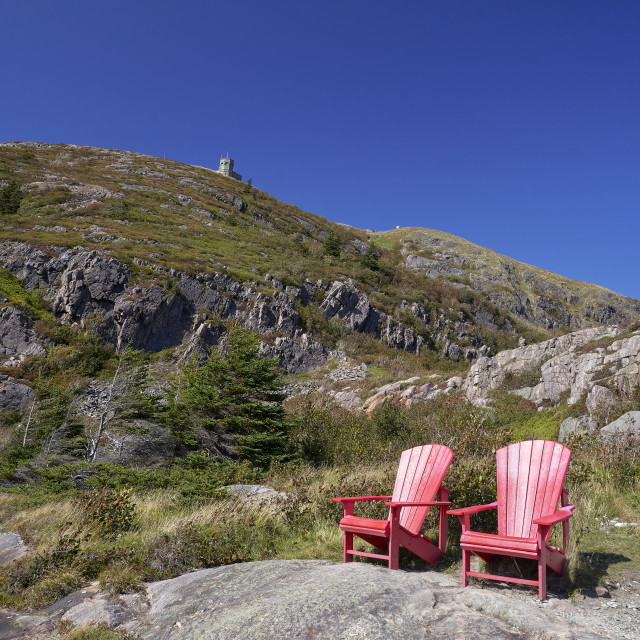 "Signal Hill with a view" stock image