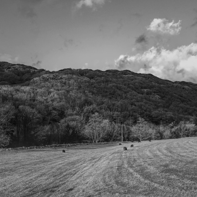 "The Rolling Hills" by Richard Sugden - $6.19 "The Rolling Hills" stock image