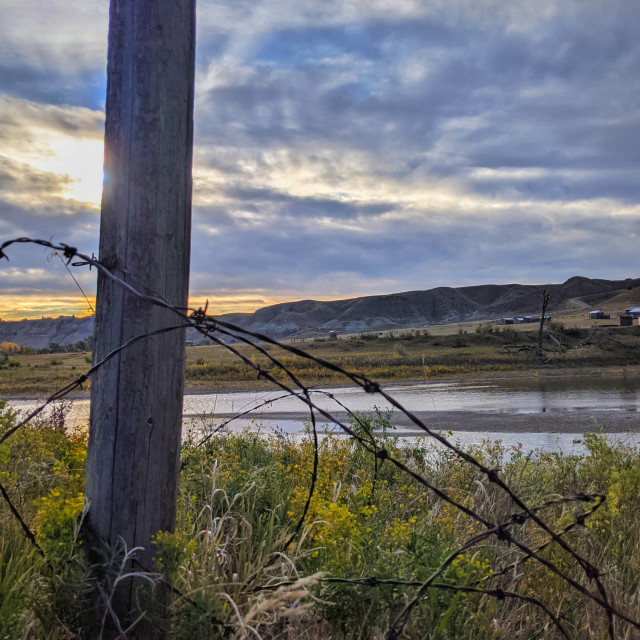 "Barbed Alberta" by MLLL Photography - $11.41 "Barbed Alberta" stock image