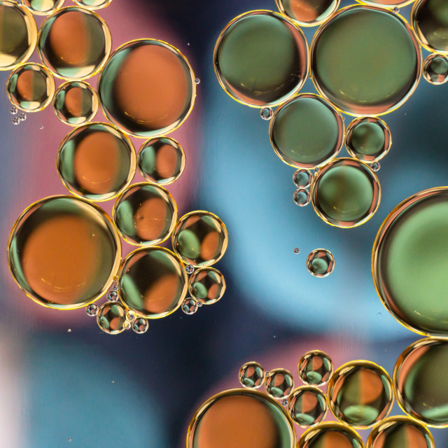 "Circles of Design" by Mark Fox - £21.00 "Circles of Design" stock image