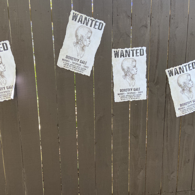 "Wanted Signs in Oz for Dorthy- Land of Oz,Beech Mountain,Nc" stock image